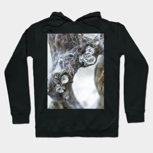 Driftwood Hoodie